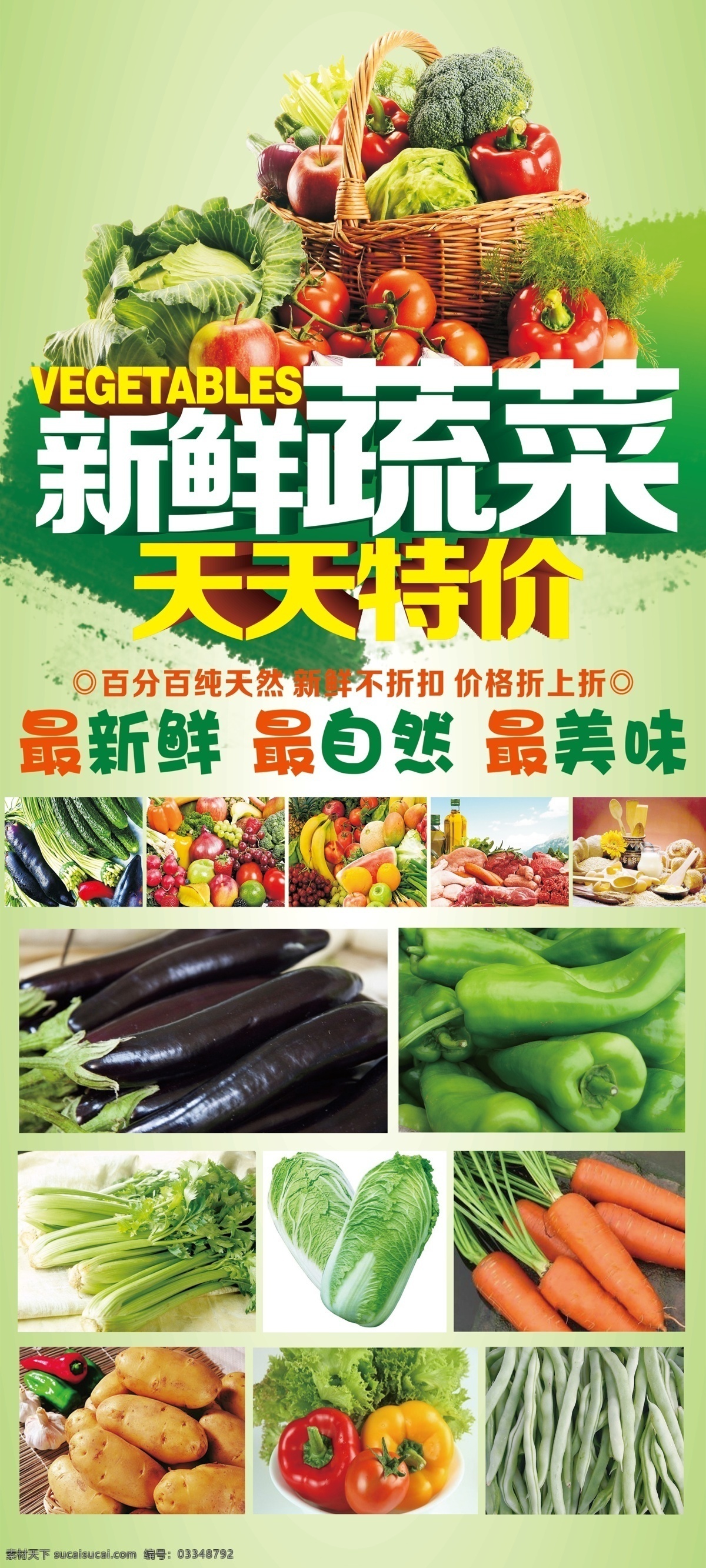 蔬菜素材 绿色环保 新鲜蔬菜