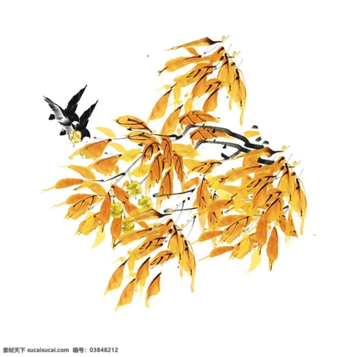 金叶 鸟 贴纸 金色 叶子 燕子 树枝 黑色 秋天 收获 离开 两 只 等等