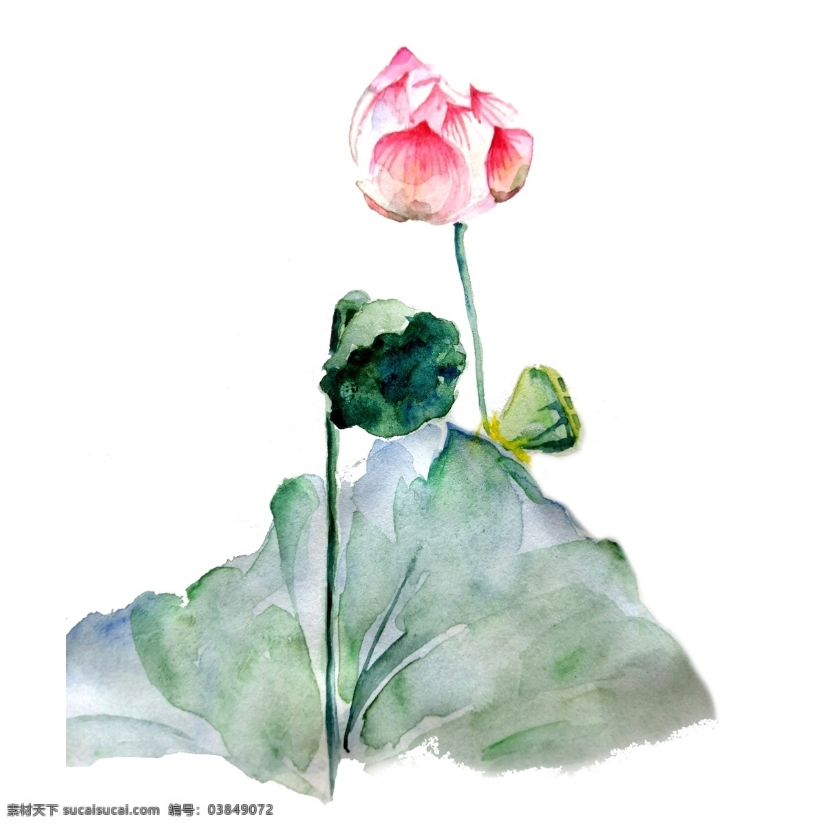 荷花 莲 花花 苞 荷叶 水墨 国画 熏染 古典 水彩 唯美 清新 景致 山水 枯荷 雨 池塘 文人画 仕大夫 风雅 雅致 残荷听雨 写意 工笔 夏