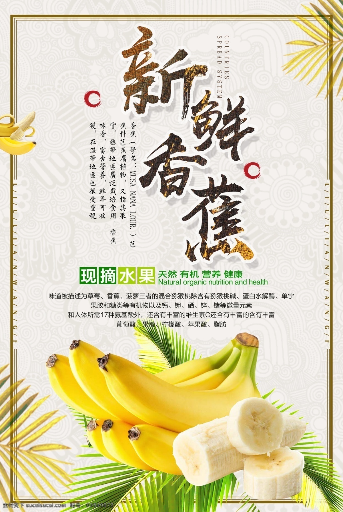 香蕉海报 香蕉 香蕉展架 新鲜香蕉 香蕉包装 香蕉广告 香蕉种植 香蕉基地 香蕉批发 水果 水果海报 水果展架 香蕉展板 红香蕉 仙人蕉 香牙蕉 小米蕉 水果店海报 水果店展架 水果超市 水果创意 水果广告 水果挂画 水果店 创意水果 水果招商 水