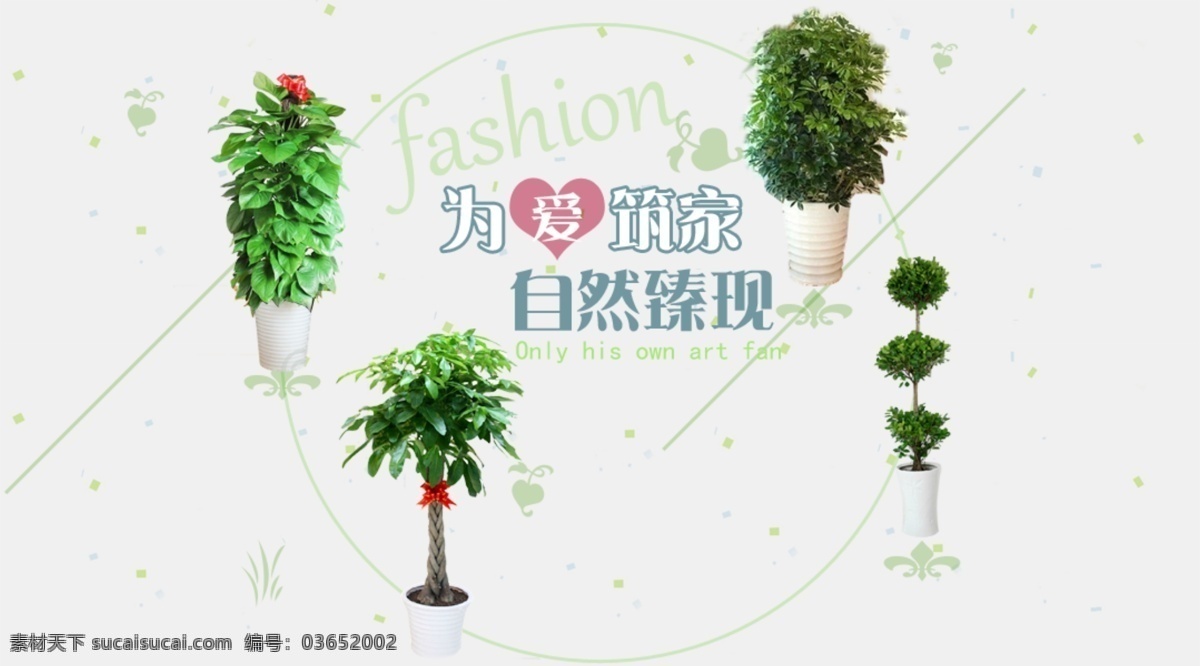 大 植物 淘宝 绿植 盆栽 大植物 海报 原创设计 原创淘宝设计