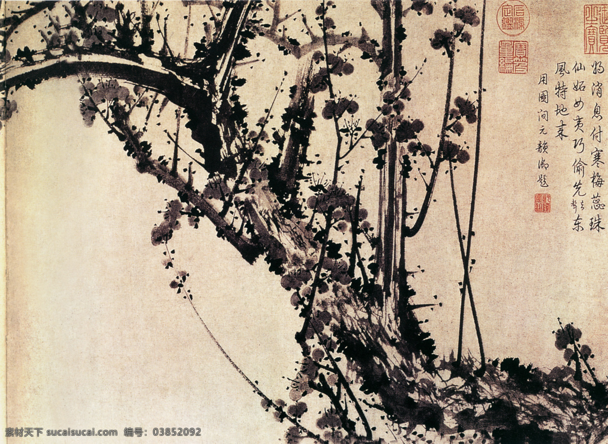 中国 花鸟画 名家 邹 复 雷 书画 真迹 春 消息 图 四 笔触 春天 古画 花鸟 书画真迹 春消息图之四 中国花鸟画 名家邹复雷 长卷纸本水墨 老梅 新枝 蓓蕾 劲健 飞白 皴写 粗干 文化艺术