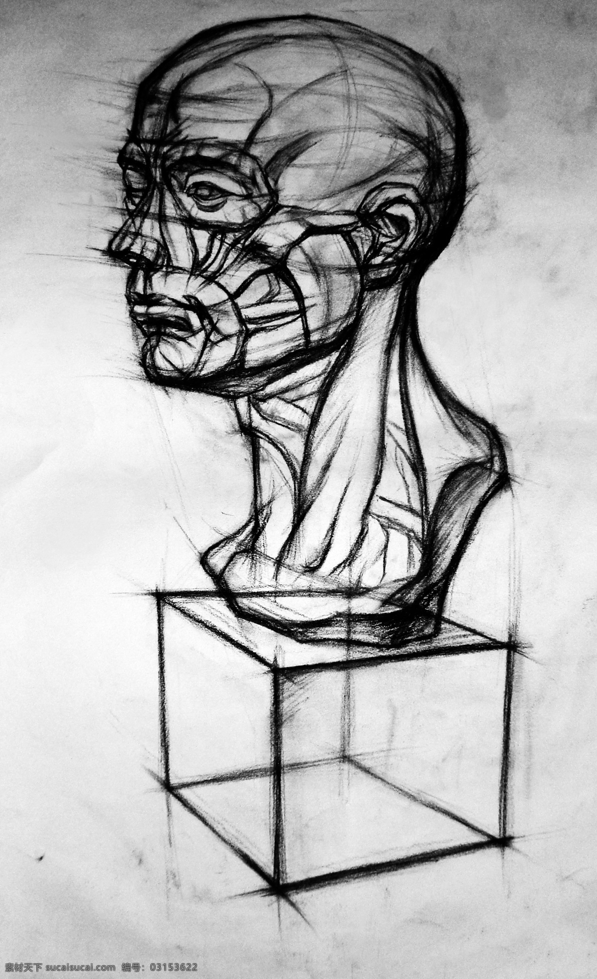脸部结构素描 素描 炭笔画 结构素描 脸部 铅笔 透视 肌肉 绘画书法 文化艺术