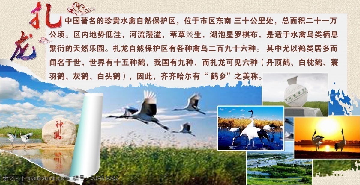 齐齐哈尔 扎龙 自然保护区 鹤城 人文景观 城市 风景 旅游 文化