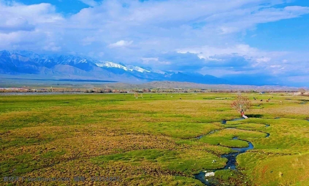 新疆风景 新疆 风景 蓝天 白云 绿草 自然景观 田园风光