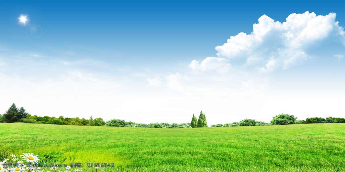 天空草地 天空 草地 蓝天 草原 绿色草原