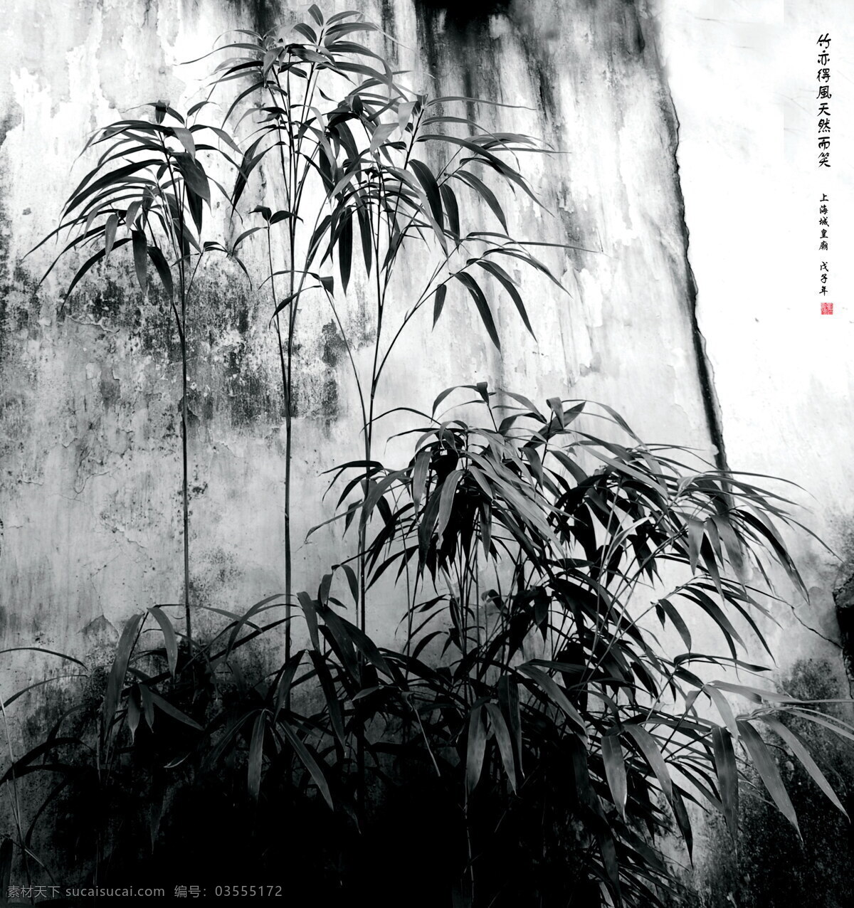 竹 亦 风 摄影图库 水墨 竹林 竹子 自然风景 自然景观 竹亦得风 黑白竹子 矢量图 日常生活