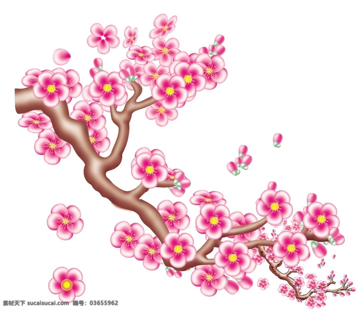 梅花图片 高清美化图片 粉色梅花 花 腊梅 花朵 jinguangsheji 分层