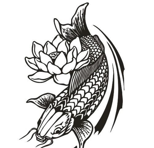 鲤鱼 荷花 矢量图 黑色 鱼类 生物世界 矢量
