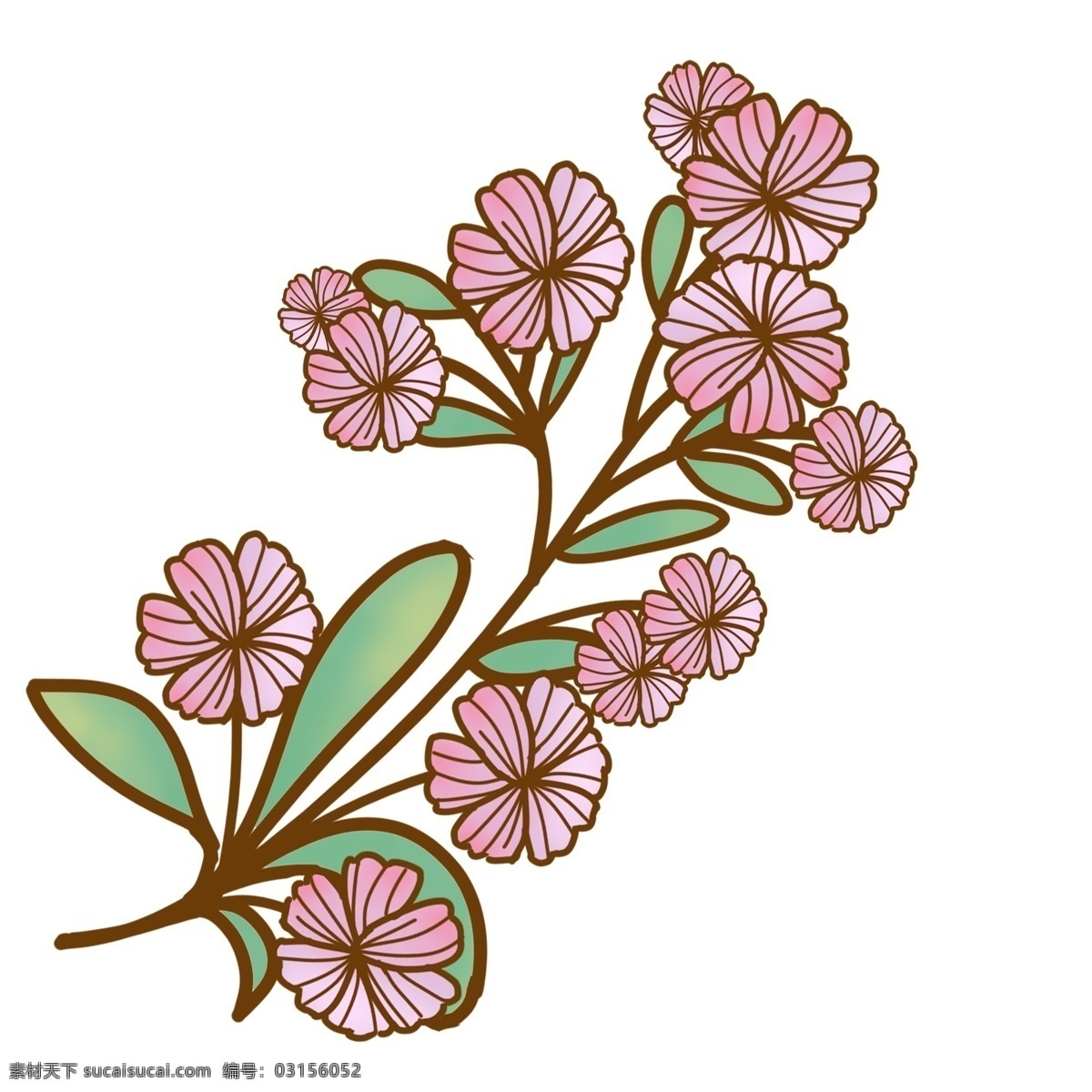 枝 粉色 鲜花 插画 商用 花卉 花朵 植物 绿叶 花瓣
