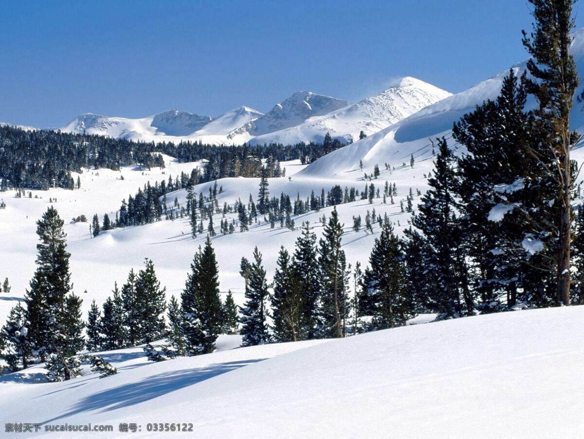 雪地滑坡 树 雪地远景 雪山 晴天 自然景观 自然风景