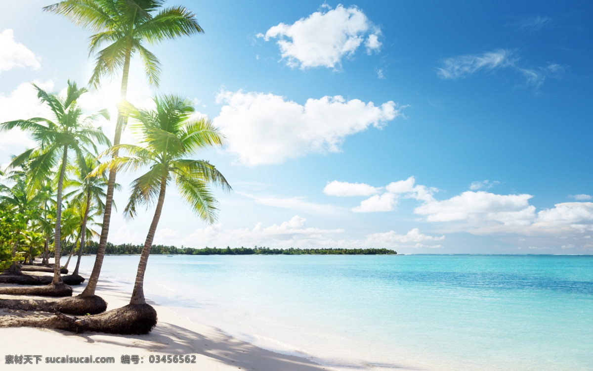 海滩美景 椰树 海滩 蓝天 沙滩 白沙滩 躺椅 浪漫 唯美 背景 沙滩背景 海洋 海边 自然风景 自然景观