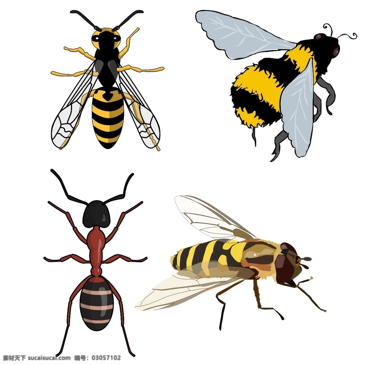 卡通蜜蜂 黄蜂 工蜂 大黄蜂 翅膀 透明翅膀 生物 蚂蚁 昆虫 动画蜜蜂 动物 勤劳的小蜜蜂 小蜜蜂 蜂蜜 蜂巢 生物世界