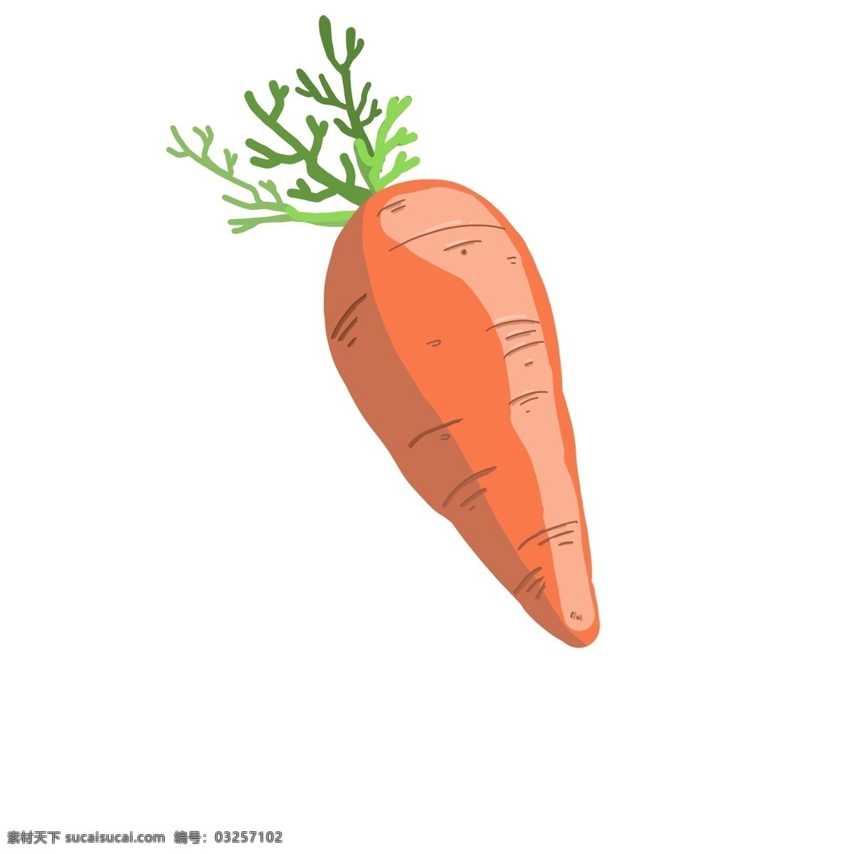 食 材 蔬菜 胡萝卜 食材 免抠 卡通 手绘