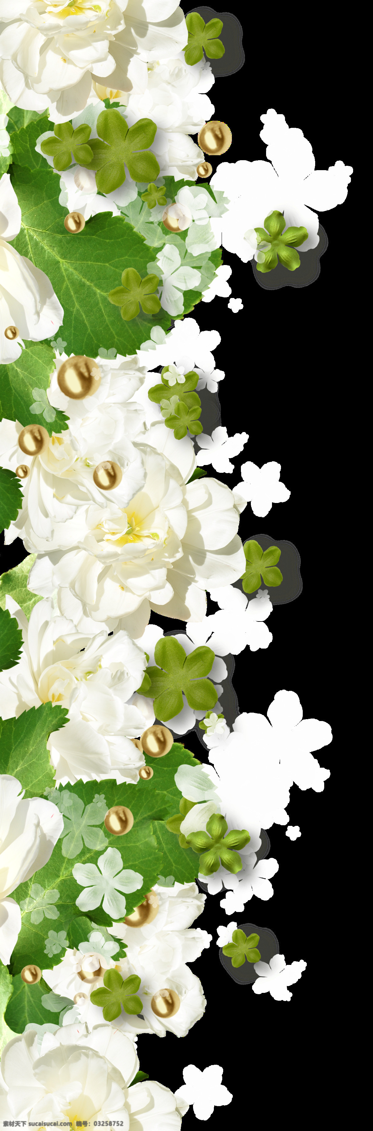 白花 绿叶 水珠 组合 花边 透明 金色 绿色 花卉 碎花 透明素材 免扣素材 装饰图片