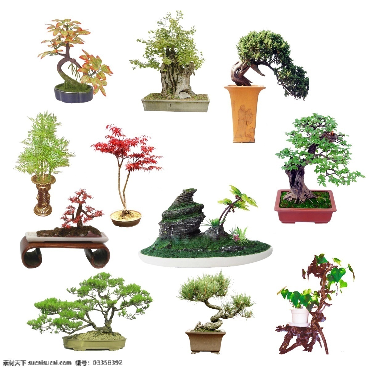 盆栽 花卉 松树 盆景 效果图 共享拼图素材 分层