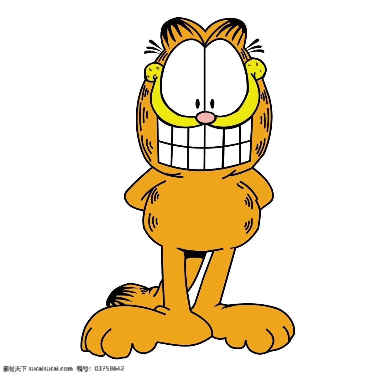 加菲猫 猫 黄色 动漫人物 搞笑 牙齿 大眼睛 搞笑猫 动漫动画