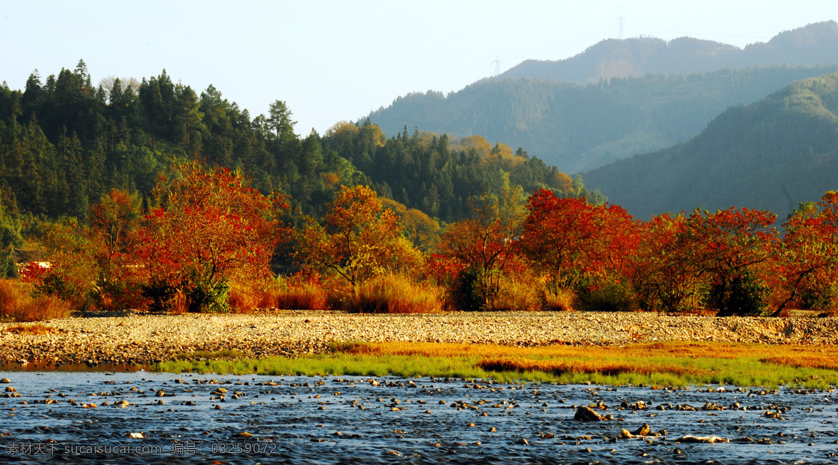 秋天 山 树 河 岸 秋天的景色 石头 山水风景 自然景观