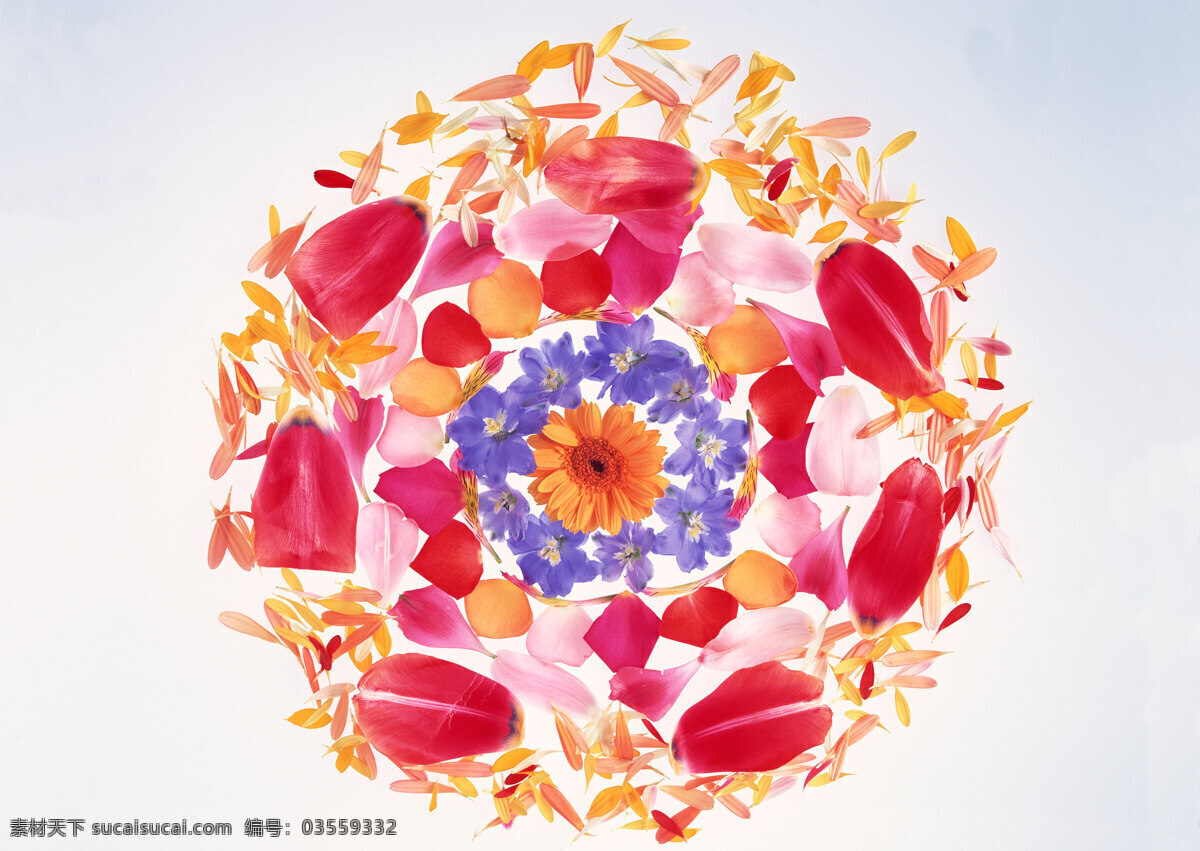 花免费下载 背景 花 花瓣 花朵 摄影图 素材花 图片库
