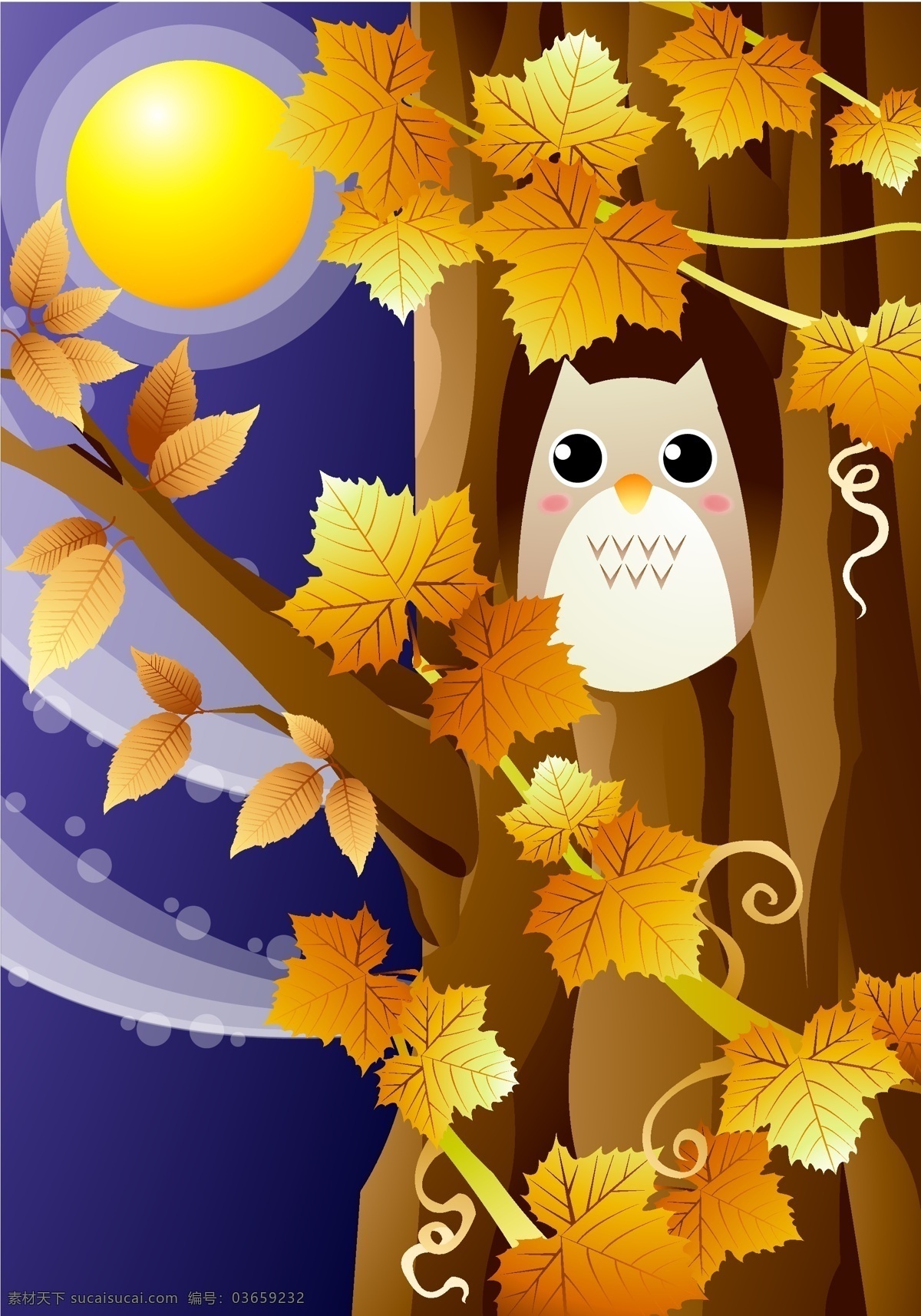 树 洞里 猫头鹰 树叶 夜晚 树洞 运物 矢量图 生物世界