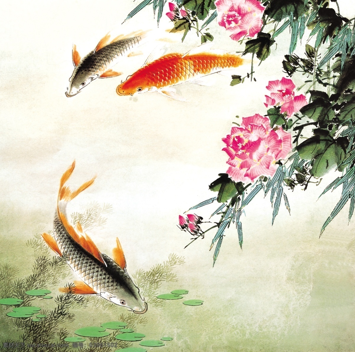 国画富贵有余 国画 花鸟鱼虫 富贵有余 富贵有鱼 年年有余 年年有鱼 传统 文化 艺术 绘画 绘画书法 文化艺术