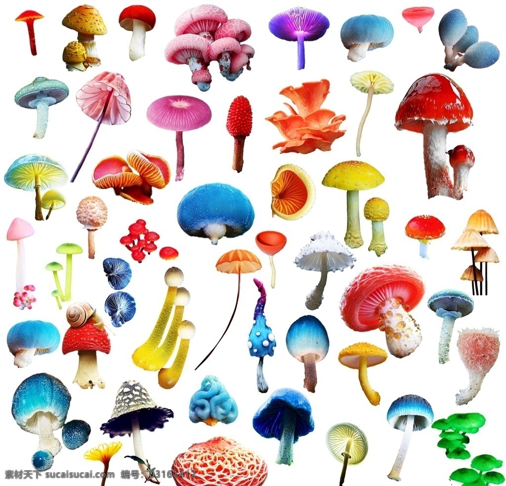 菌类植物 红色蘑菇 毒蘑菇 生长蘑菇 生物世界 漫画蘑菇 蘑菇伞 红蘑菇 彩色蘑菇 蘑菇海报 蘑菇广告 蘑菇展板 蘑菇展架 菌菇 小蘑菇 白蘑菇 植物素材 自然景观