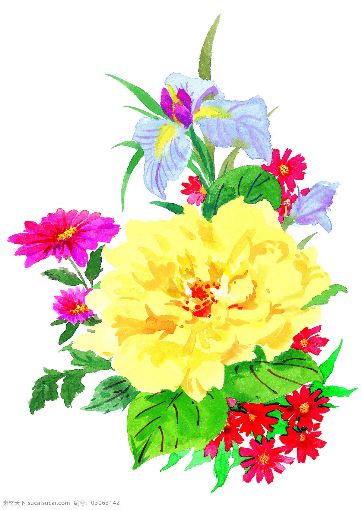 花卉图案 花草图案 花草插图 设计素材 植物插图 书画美术 白色