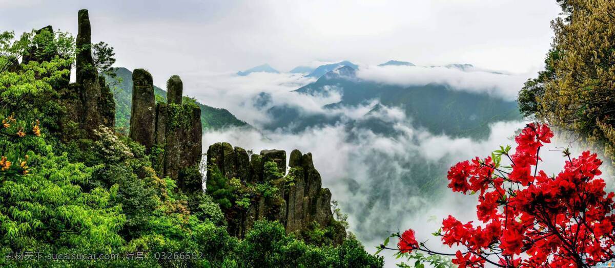 庐山风景 山水 风景 自然景观 石头 石壁 悬崖 大树 植物 森林 旅游摄影 国内旅游 庐山