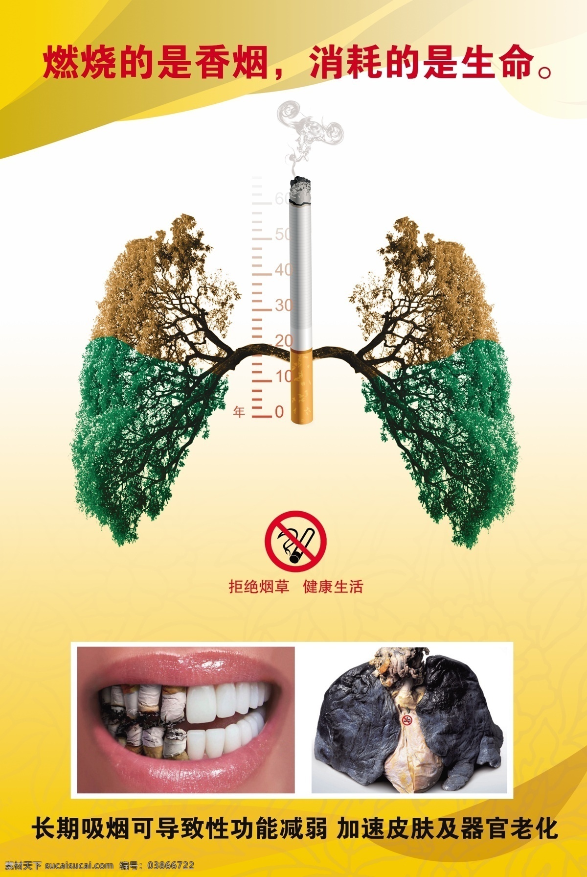 禁止吸烟 展板 燃烧的是香烟 拒绝烟草 健康生活 展板模板