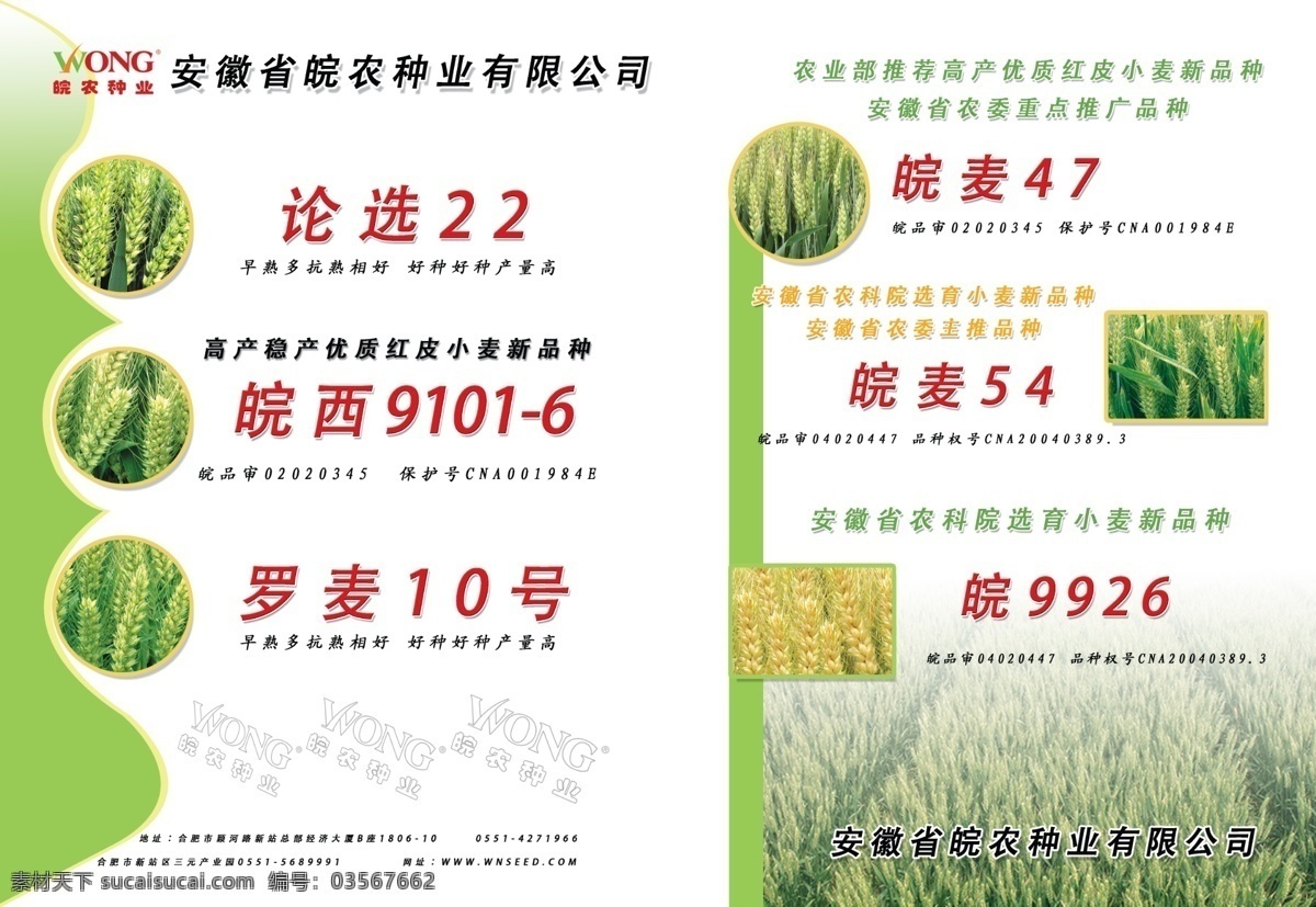 创意 广告设计模板 画册设计 绿色 源文件 种子 种子公司 宣传册 模板下载 优选 海报 其他海报设计