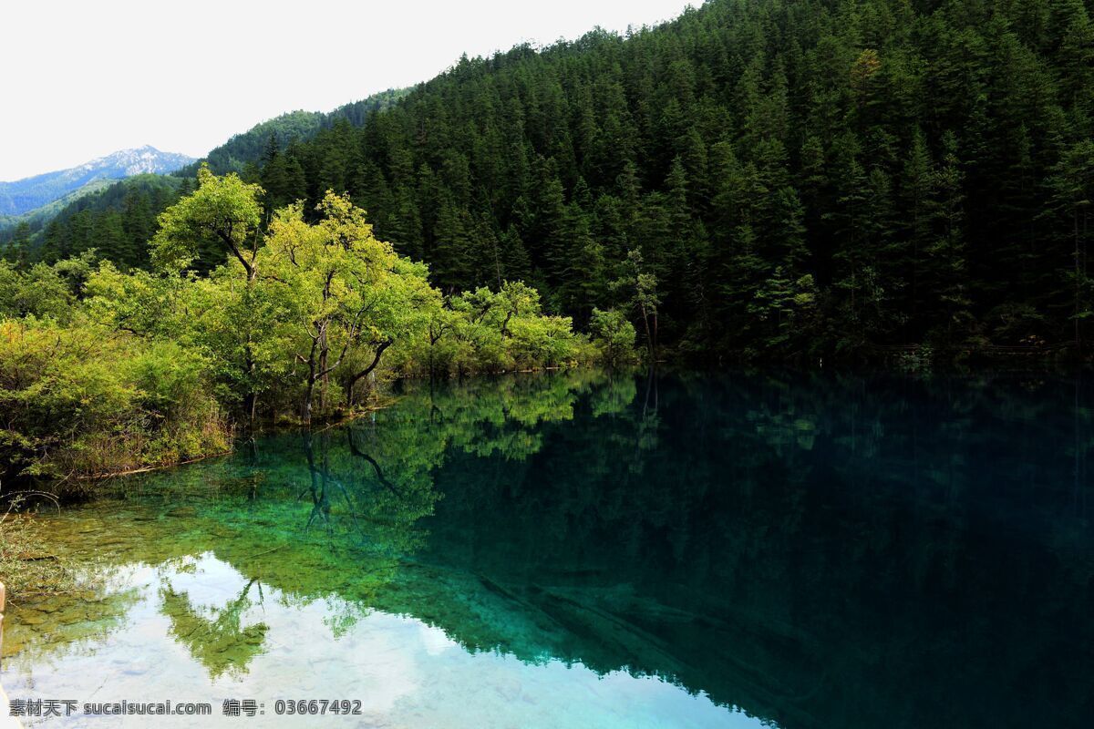 九寨之水 九寨沟 湖水 绿树 高山 湖中倒影 九寨沟风光 自然风景 自然景观