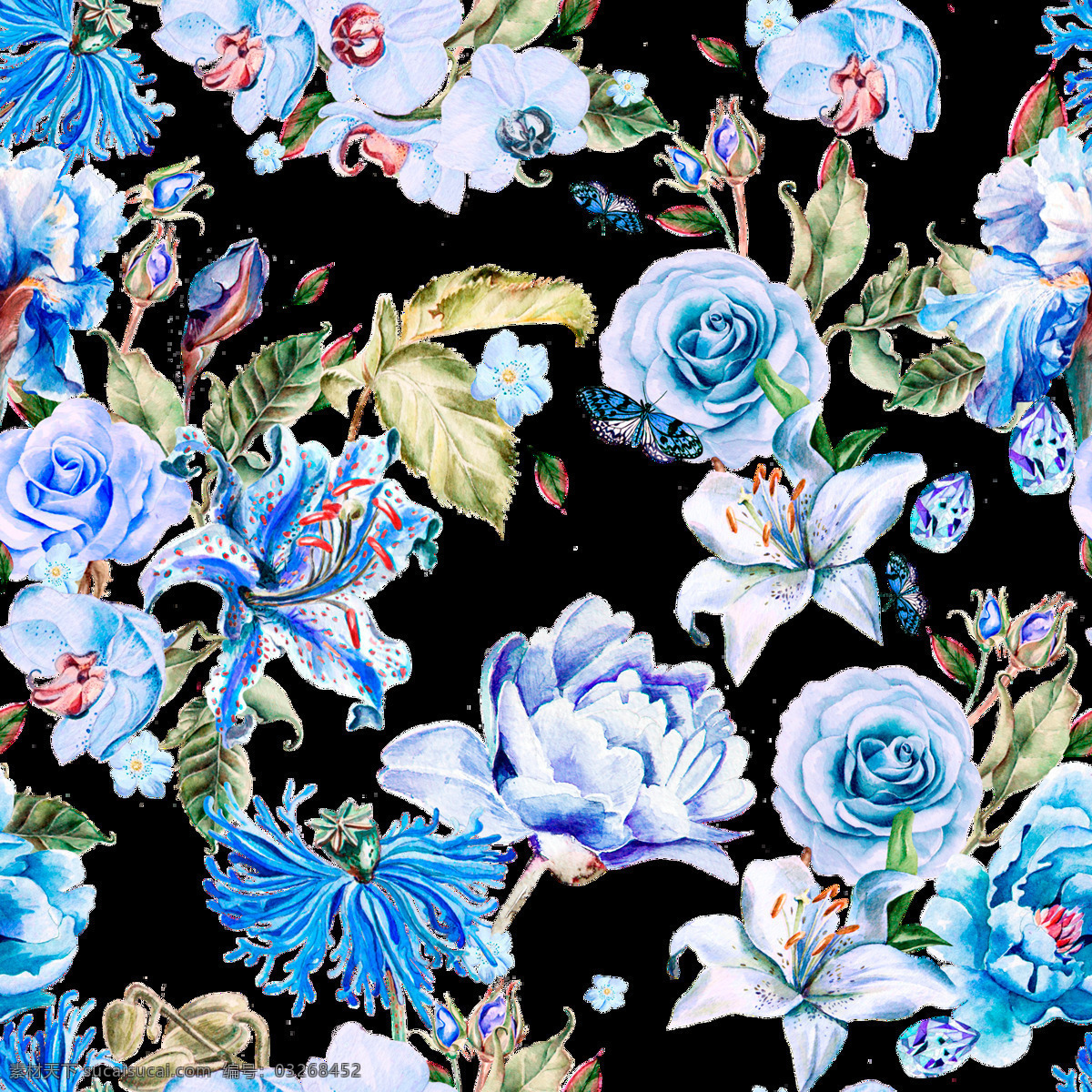 蓝色 玫瑰 花朵 元素 植物