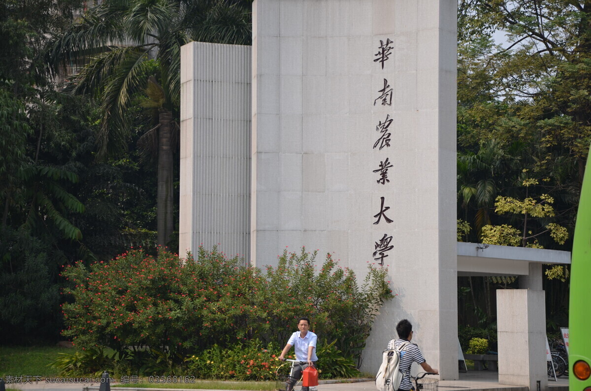 华南农业大学 大学 国内旅游 旅游摄影 门牌 摄影素材 学院 广州景色 矢量图 日常生活