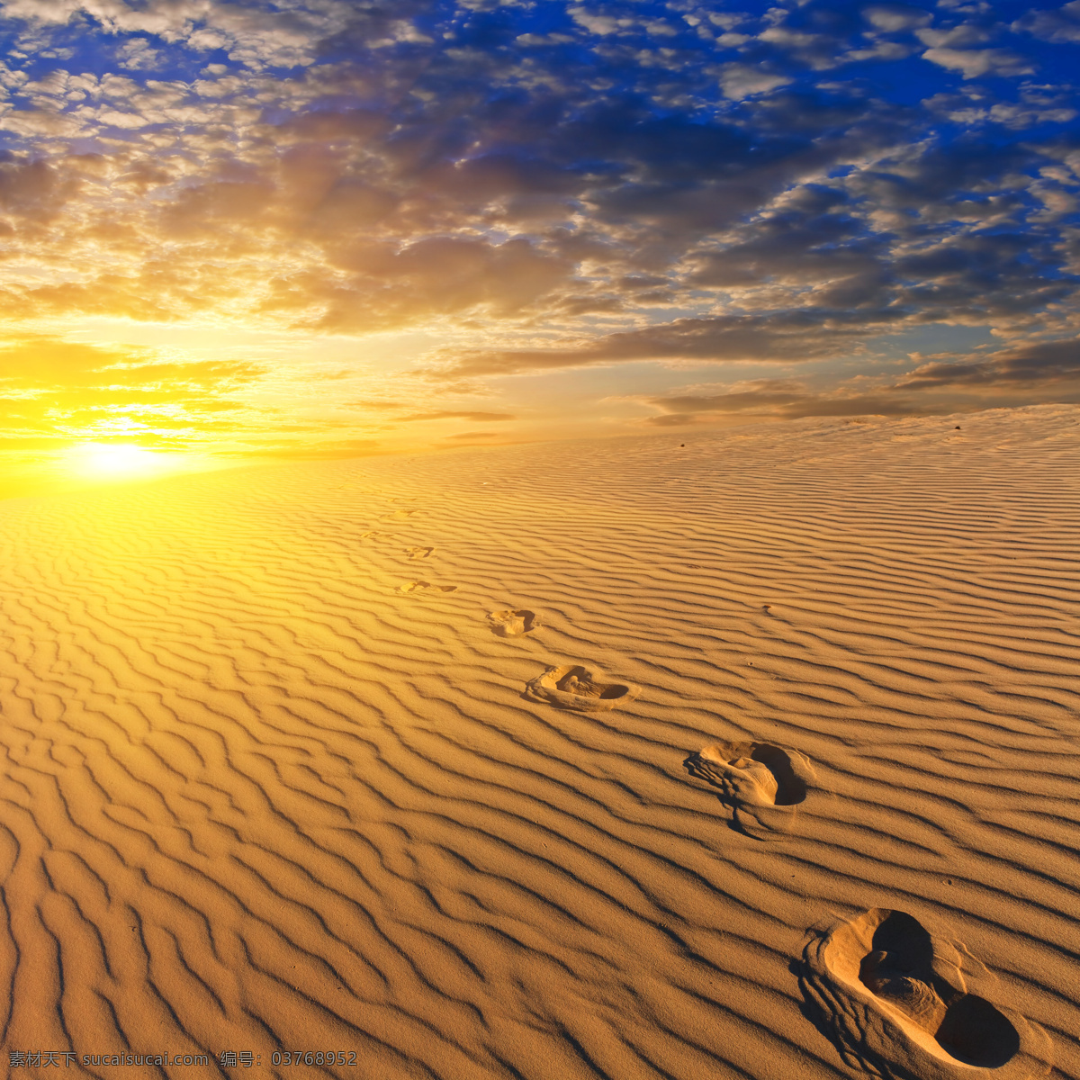 沙漠 中 脚印 落日 风景 旅游摄影 天空 白云 旅游 沙子 沙 自然风景 沙漠图片 风景图片