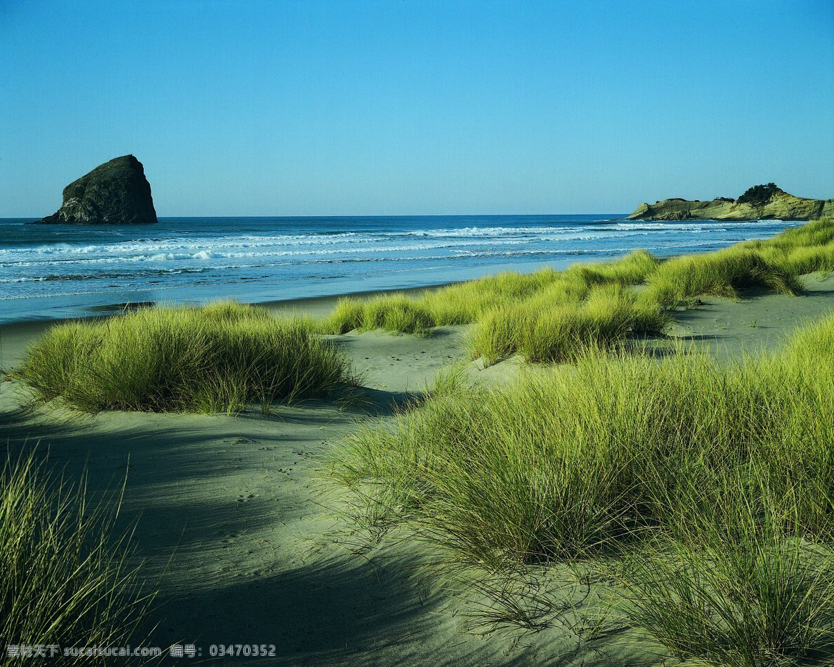 海滩 草丛 礁石 旅游摄影 山水风景 摄影图库 自然风景 滩边的草丛 沙地 psd源文件