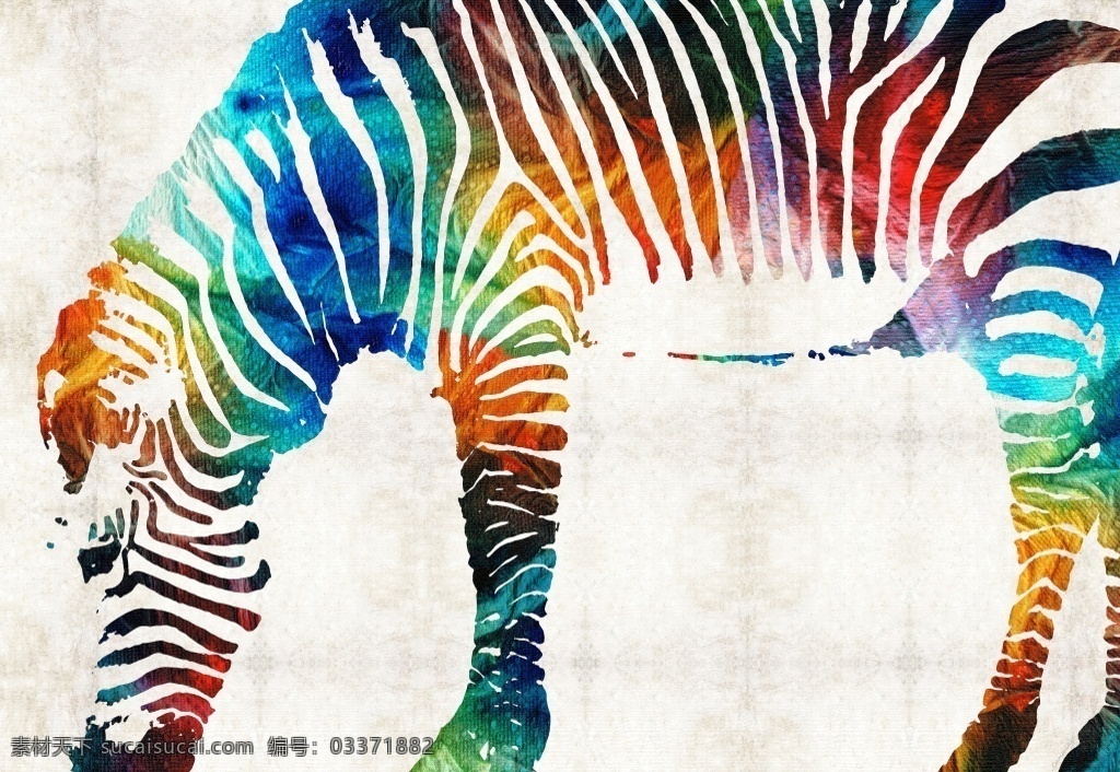 彩色 彩绘 斑马 动物 绘画 水彩