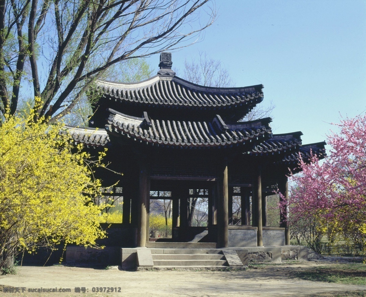 春天 皇家 园林 亭子 迎春花 桃花 古代建筑文明 明清建筑 明清文化 明清皇家园林 家居装饰素材 园林景观设计