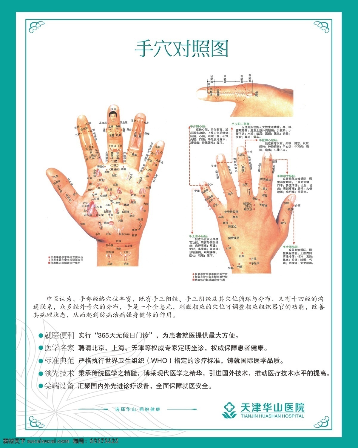 人体穴位图 手穴 医疗展板 医疗 医疗kt版 人体穴位 手诊 ai分层图 绿色展板 蓝色展板 医疗相关 展板模板