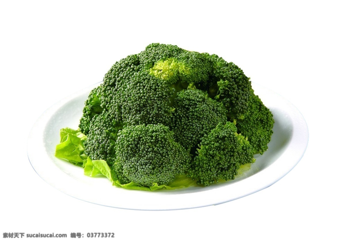 西蓝花 蔬菜 营养 盘子 生菜 果实 减肥 有机食品 俯视图 合成