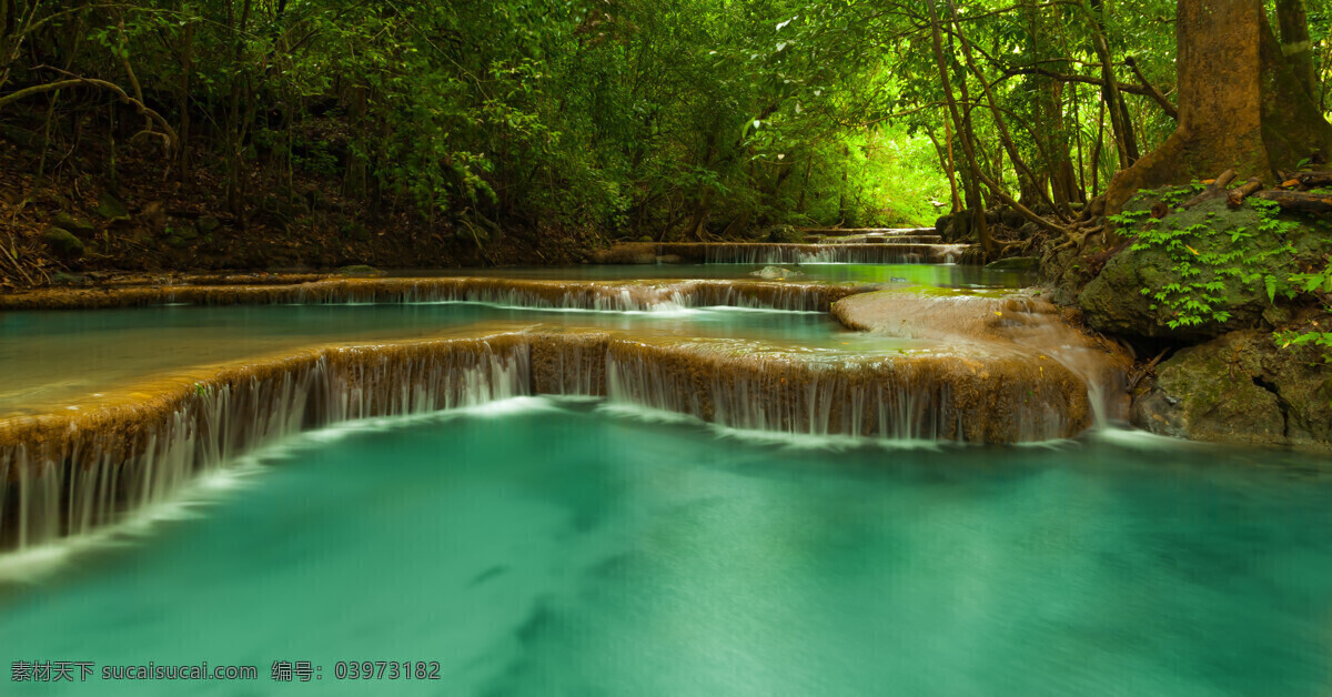 林中河流摄影 美丽风景 风光 景色 树木 森林 河流 其他艺术 文化艺术 黑色