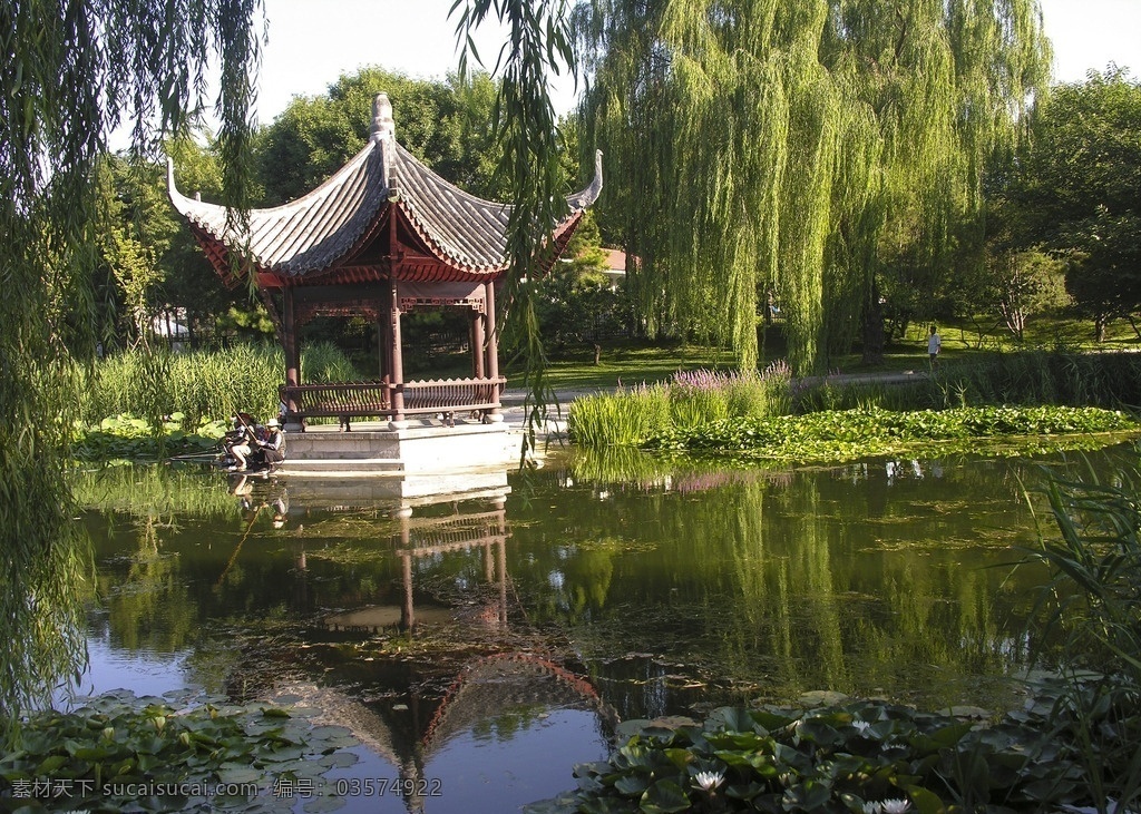 陶然亭之夏 陶然亭 夏天 浸月亭 垂柳 荷花 园林建筑 建筑园林