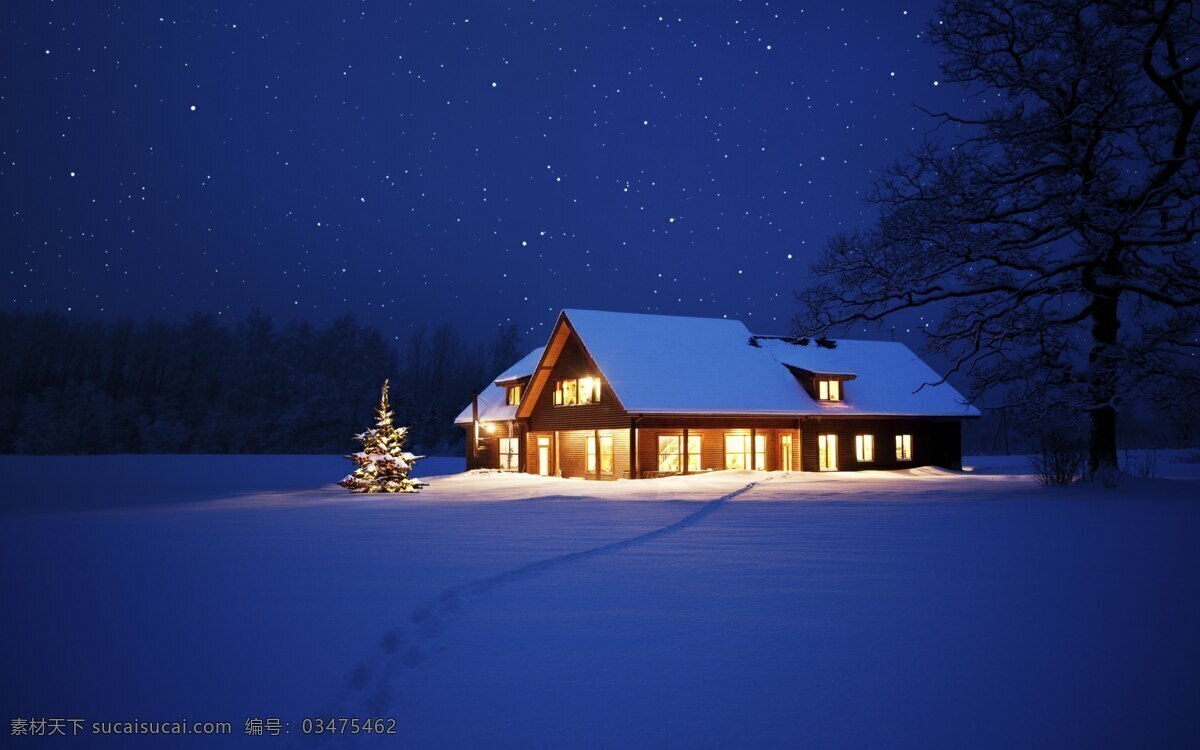 冬天 雪地 冬季 小屋 别墅 房子 圣诞树 圣诞节 星空 星星 夜空 温馨 幸福 房屋 森林 旷野 平原 冰雪 自然 美景 白雪 天空 景观 风景 景色 风光 梦幻 唯美 大树 美丽自然 自然风景 自然景观