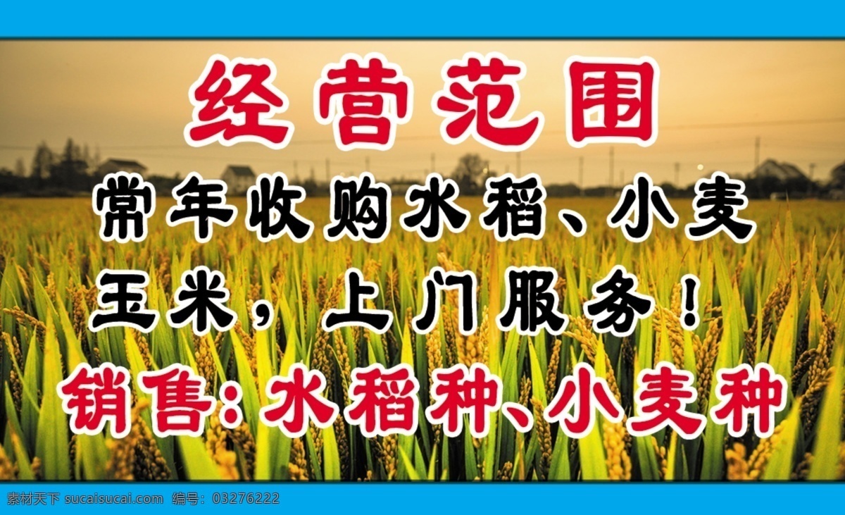 收购粮食名片 收购 粮食 名片 绿色 水稻 名片卡片