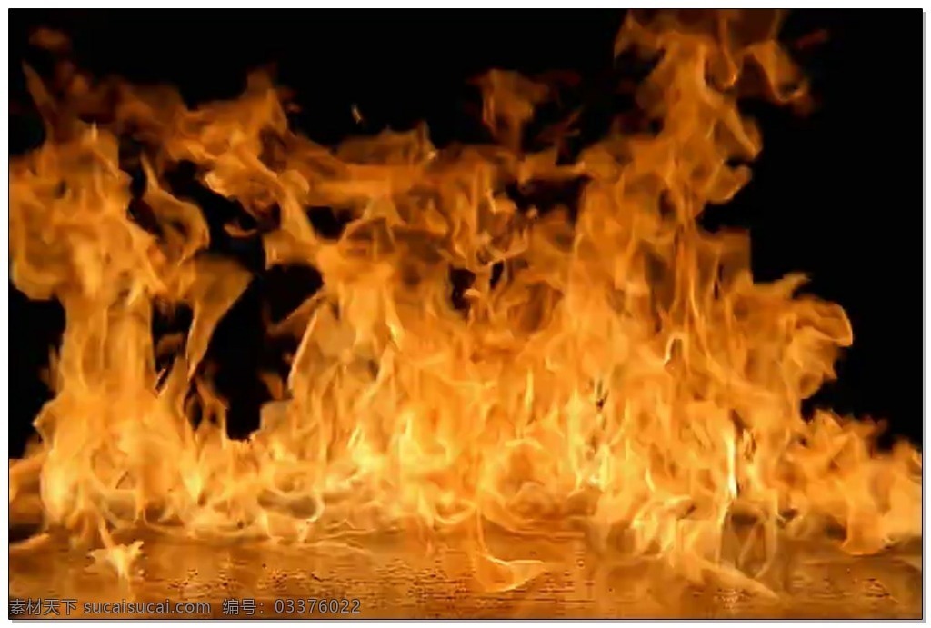 火焰视频素材 高清视频素材 视频素材 动态视频素材 油 燃烧 大火
