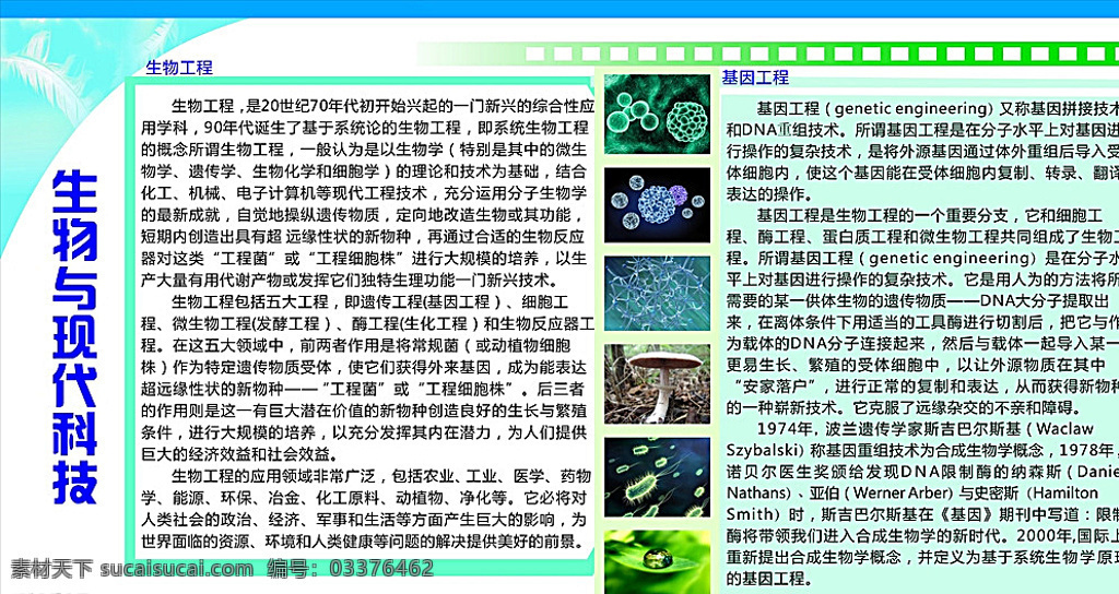 生物 现代科技 展板 海报 基因 绿色海报 特色海报 特色展板 我的海报 文化艺术 白色