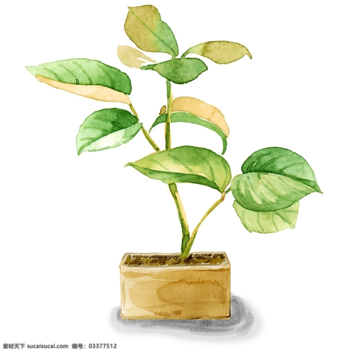 小 清新 植物 叶子 盆栽 元素 小清新 叶子盆栽 植物类 手绘 水彩植物 植物元素