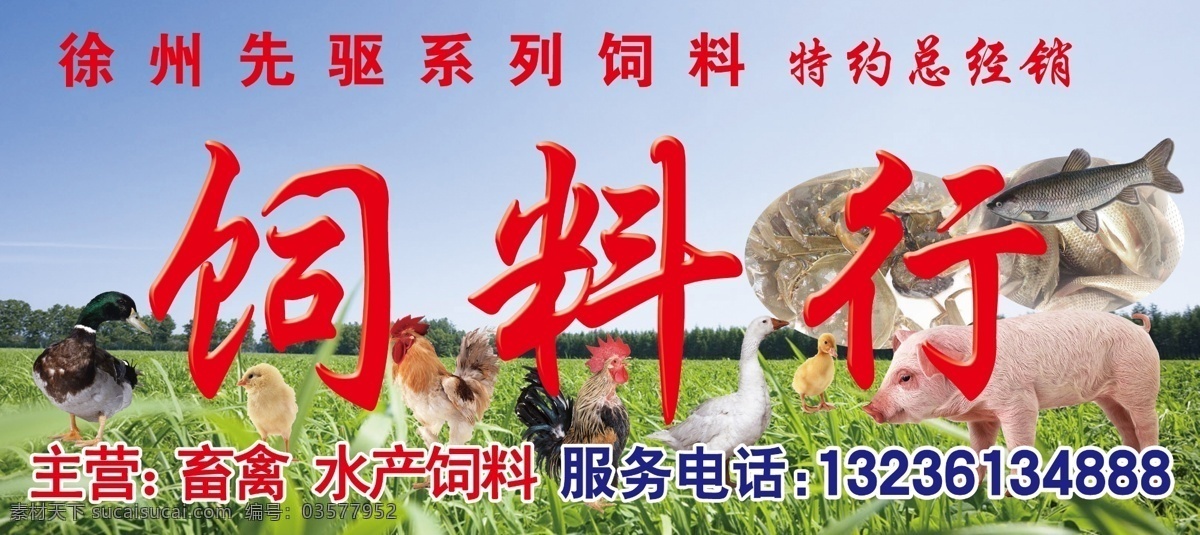 饲料 家禽 禽畜 水产 猪 鸡 鸭 鱼 国内广告设计 广告设计模板 源文件