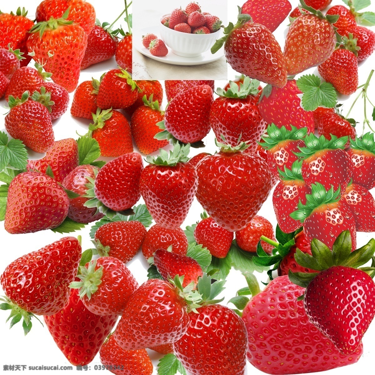 草莓 草莓广告 高清草莓 草莓大全 草莓集合 草莓集锦 新鲜草莓 水果 分开的草莓 卡通草莓 横截面草莓 分层 源文件 红色