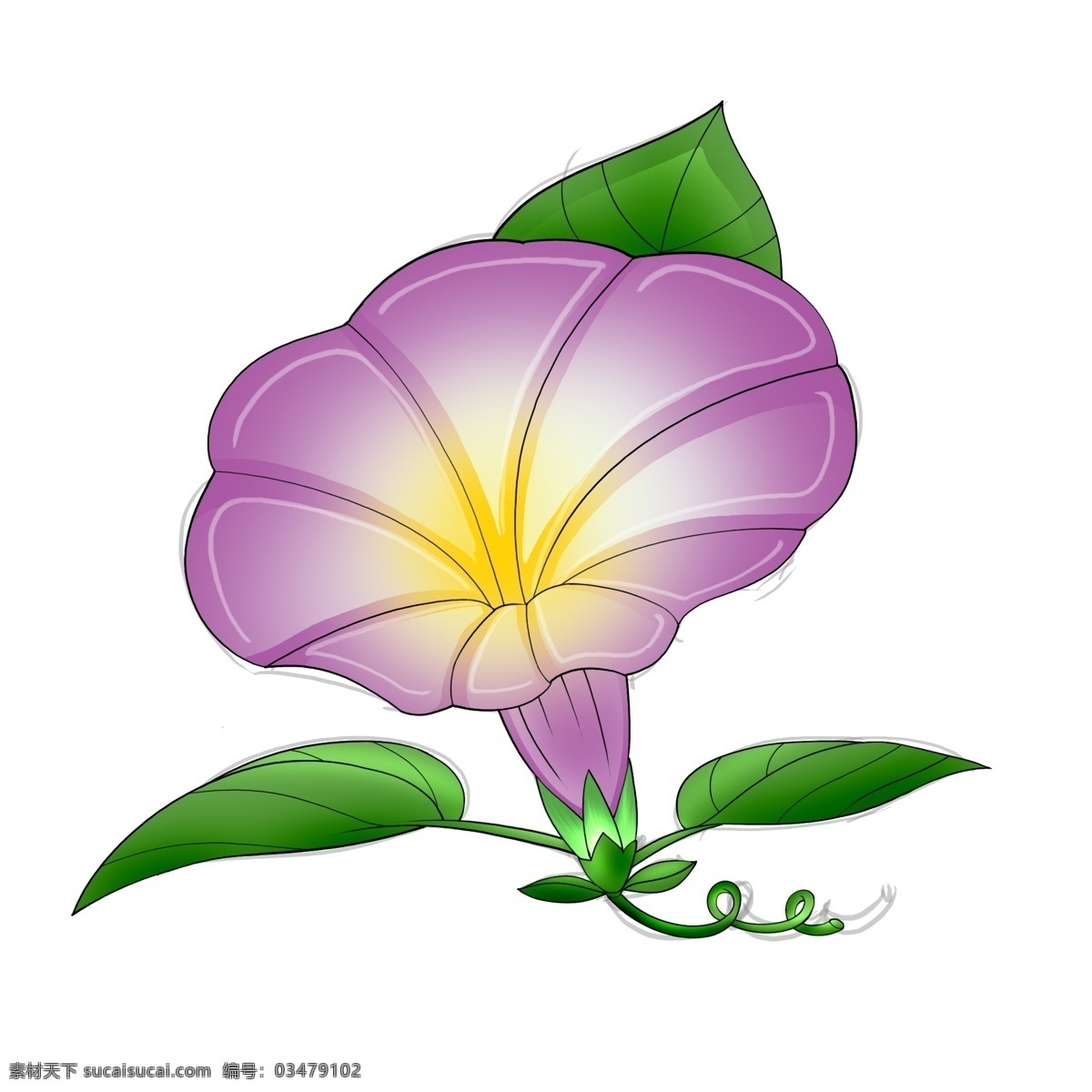 手绘 喇叭花 手绘牵牛花 手绘喇叭花 牵牛花素材 牵牛花元素 喇叭花素材 水彩牵牛花 水彩喇叭花 国画牵牛花 国画喇叭花 牵牛花插画 喇叭花插画 卡通牵牛花 卡通喇叭花 手绘花卉 鲜花 花朵 手绘水彩花卉 花卉手绘 手绘花卉花朵 抽象手绘花卉 花卉背景墙 水彩花 牵牛花 卡通设计