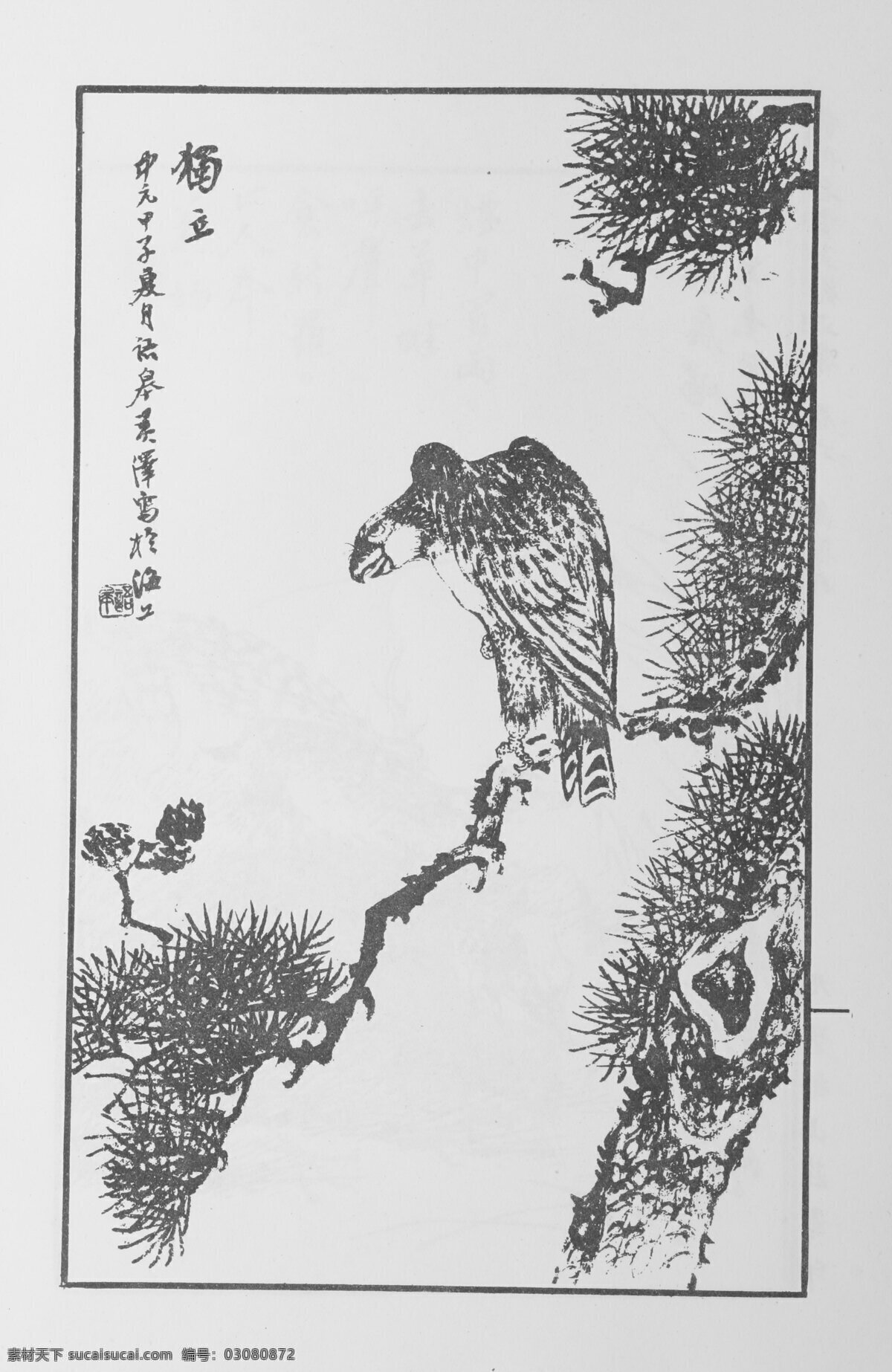 鸟兽画 中国画 当代 名画 大观 正 集 设计素材 花鸟画篇 中国画篇 书画美术 白色